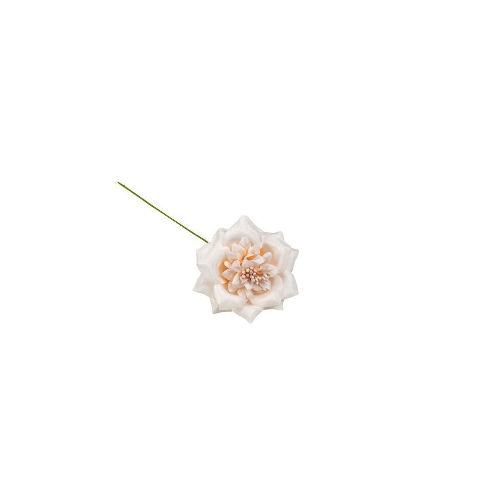 FIORE STELLA 6CM CIPRIA